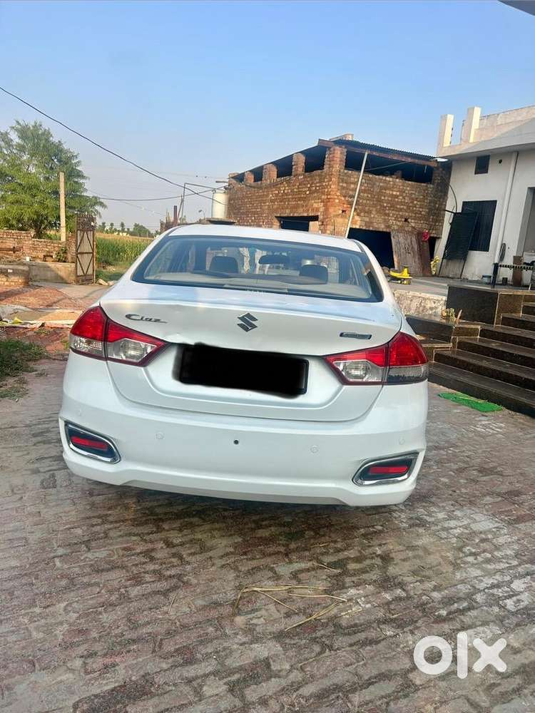 Maruti Suzuki Diesel 2017