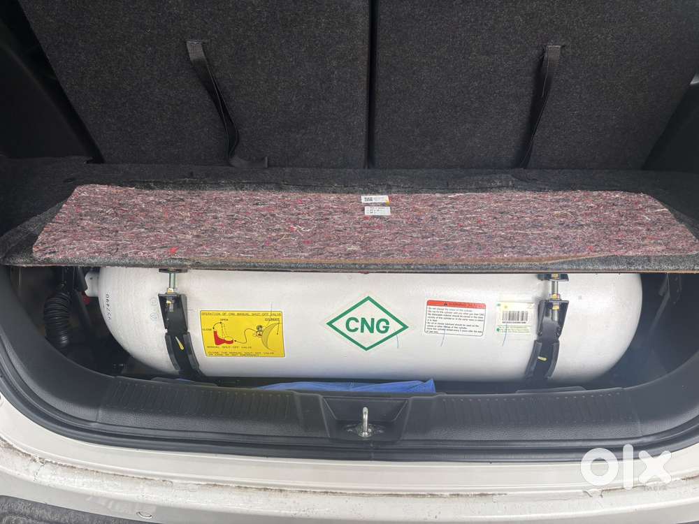 Maruti Suzuki Xl6 Zeta Mt Cng, 2024, Cng & Hybrids