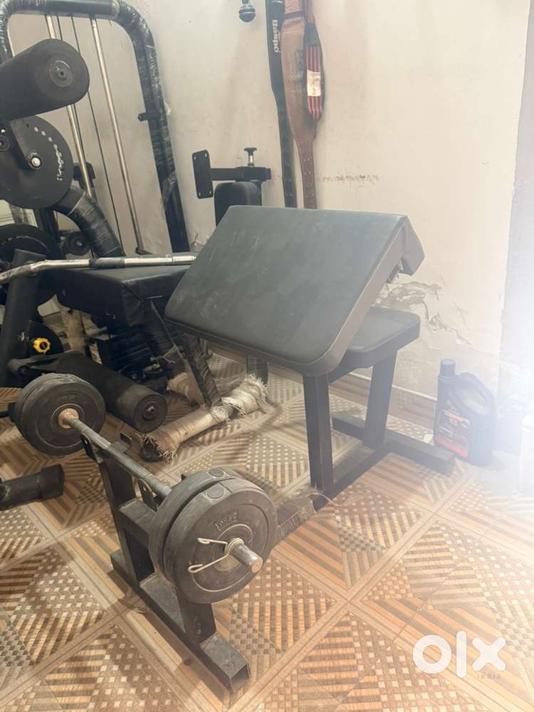 Preacher Curl Bench