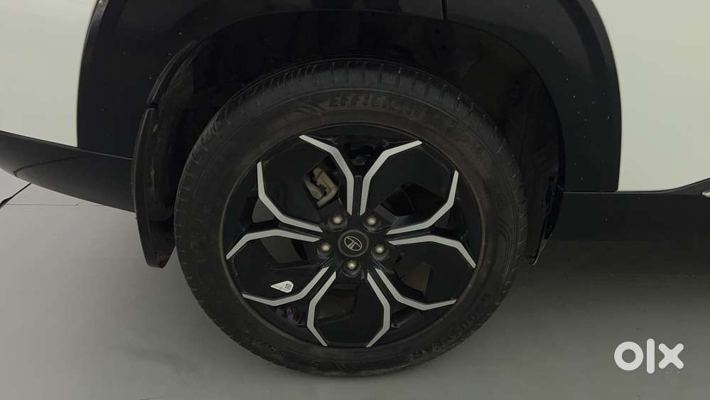 Tata Curvv Accomplished Plus A 1.5 Kryojet Diesel 6mt, 2024, Diesel