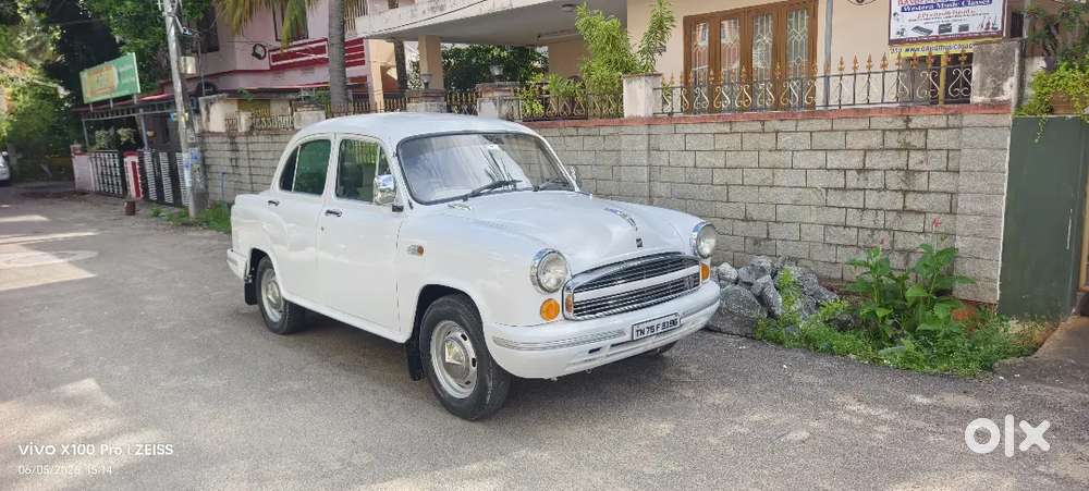 Ambassador Grand 2011