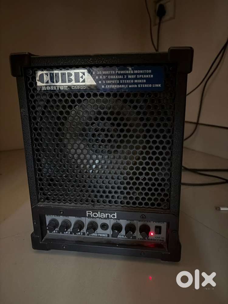 Roland cube monitor,