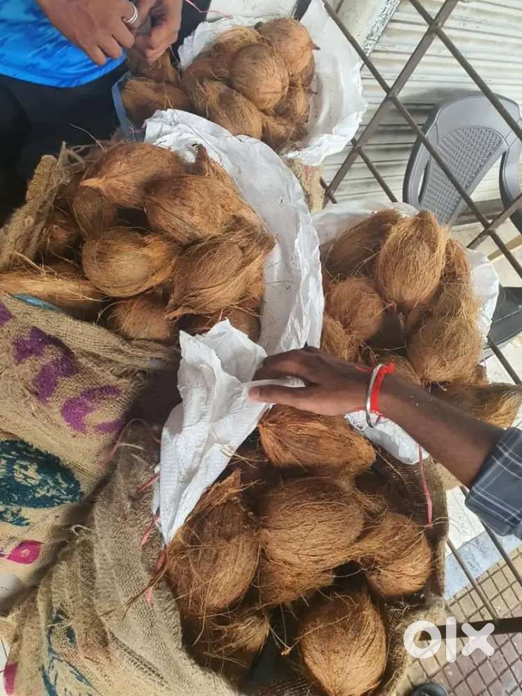 Sukha Nariyal 1 piece for 30₹