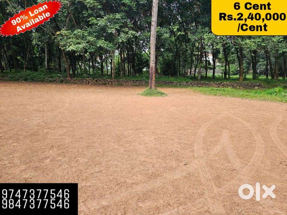 ANGAMALY, KARAYAMPARAMBU 6 CENT HOUSE PLOT FOR SALE Lands & Plots