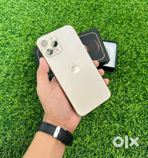 iphone 12 pro max in 256gb book it at reasonable price