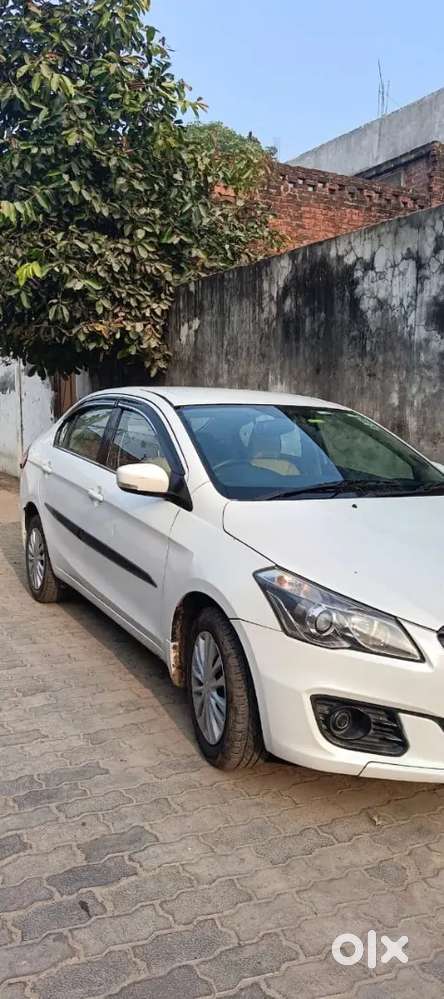 Maruti Suzuki Ciaz 2017 Diesel Second Owner
