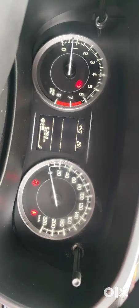 4 महीने पुरानी वैलेनो डेल्टा