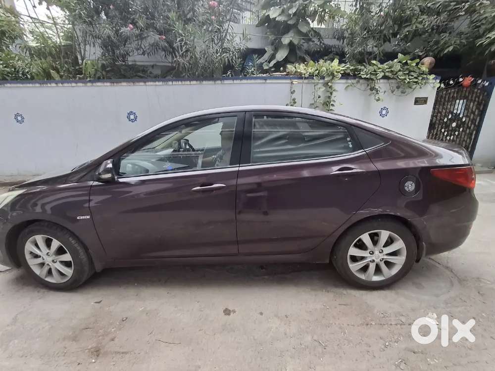 Verna 2013