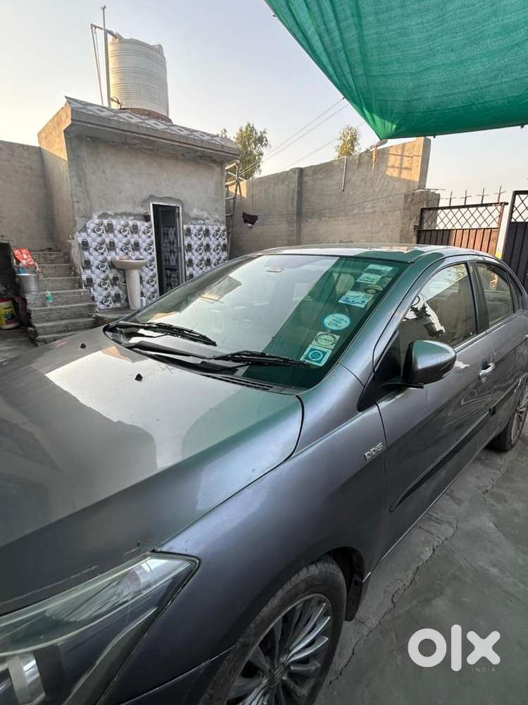 Maruti Suzuki Ciaz 2016 Diesel Good Condition