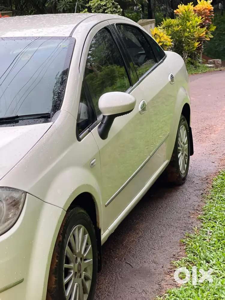 Neat And Clean Low Kilometers, Paper Up To 2031