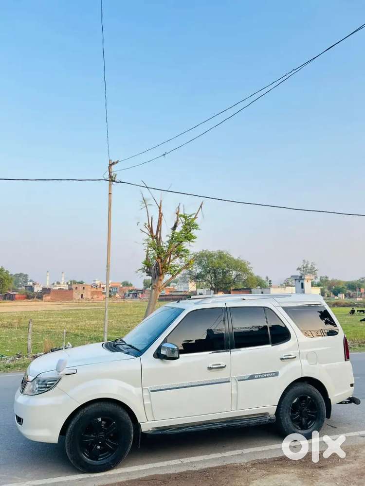 Storme Safari Vx Top Model