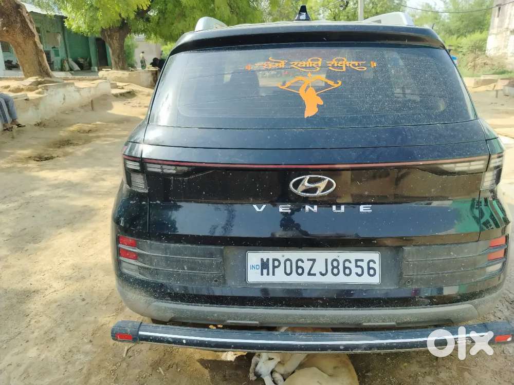 Hyundai New Venue 2025 Petrol 31000 Km Driven