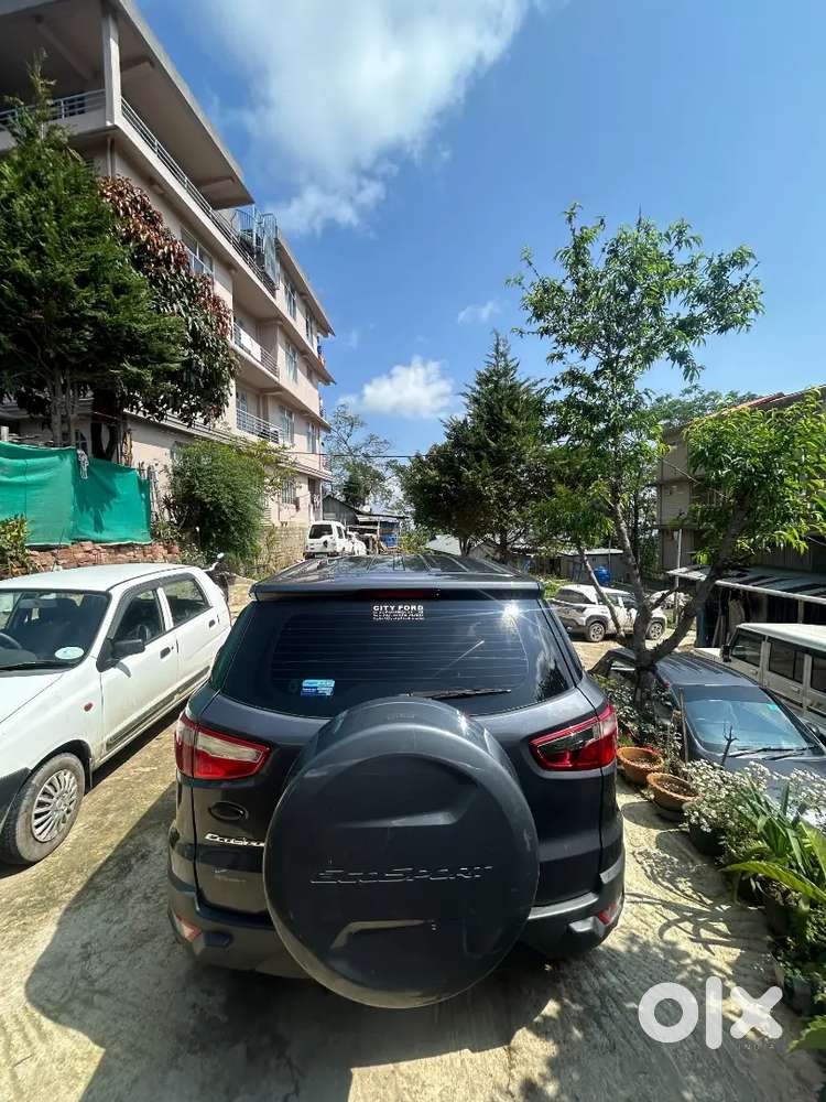 Ford Ecosport 2015 Variant Year
