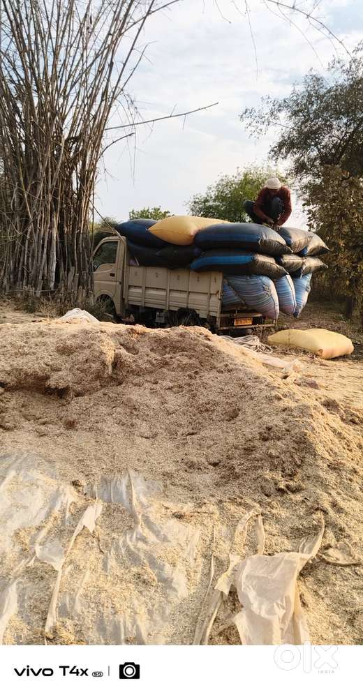 Brand Tata Model Ace Gold Petrol Age 2year
