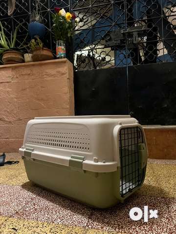 Pet carrier clearance olx