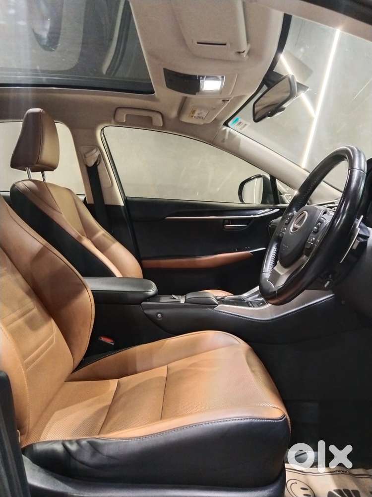 Lexus Nx Lexus-nx-300h-luxury, 2020, Petrol