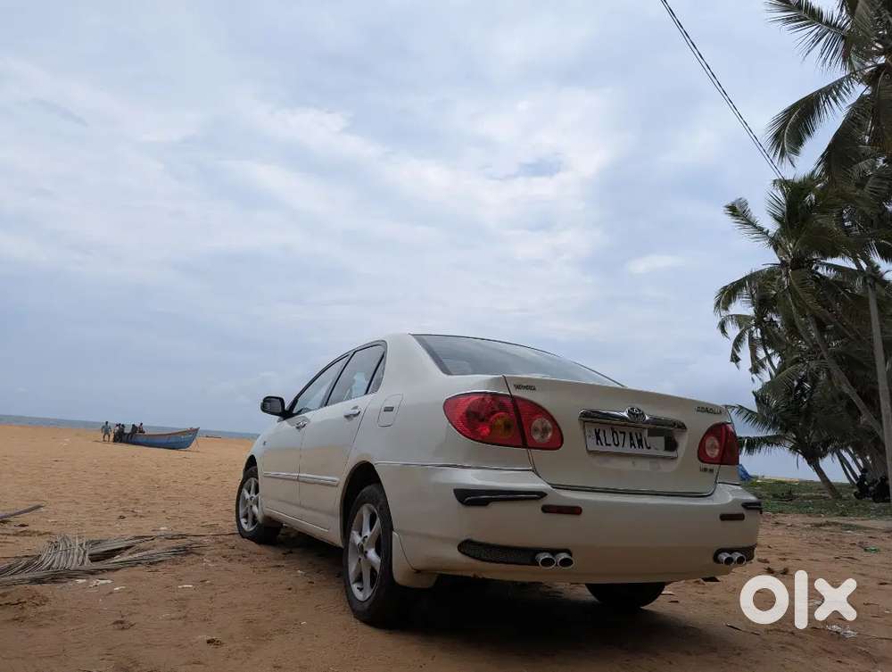 Toyota Corolla Well Maintained