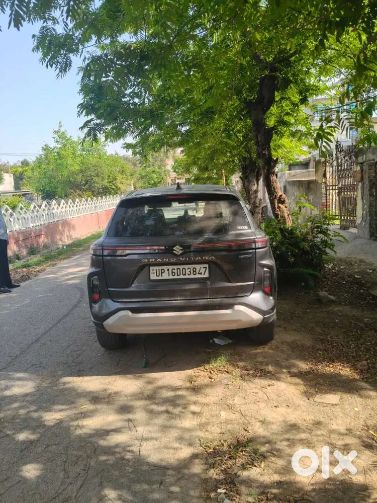 Maruti Suzuki Grand Vitara 2023 Petrol 48500 Km Driven Well Maintained