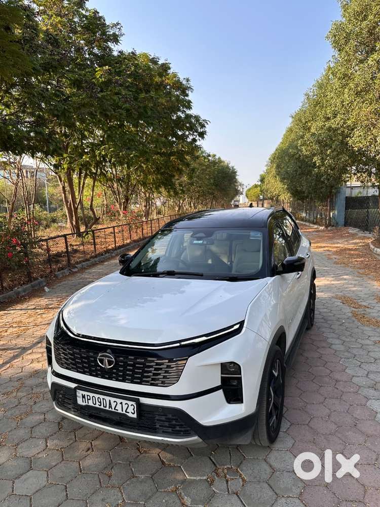 Tata Safari Accomplished Plus 6 Str Dual Tone At, 2023, Diesel