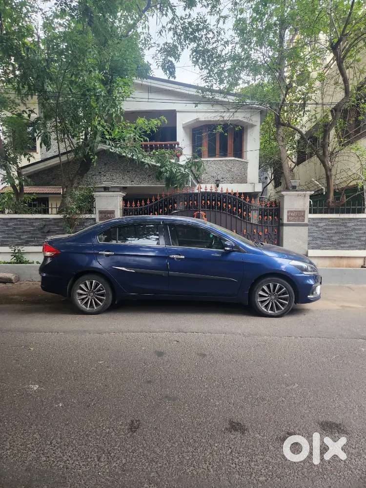 Ciaz Alpha Petrol Auto Lady Driven 50000kms