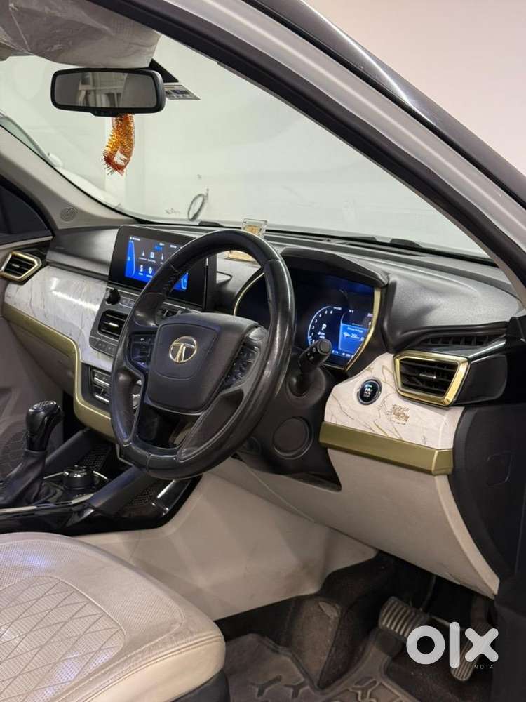 Gold Edition Safari Top End