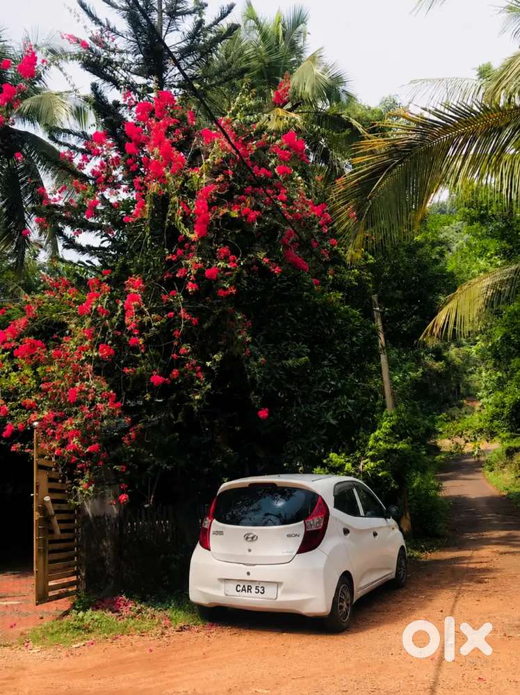 Perinthalmanna Pattikkad