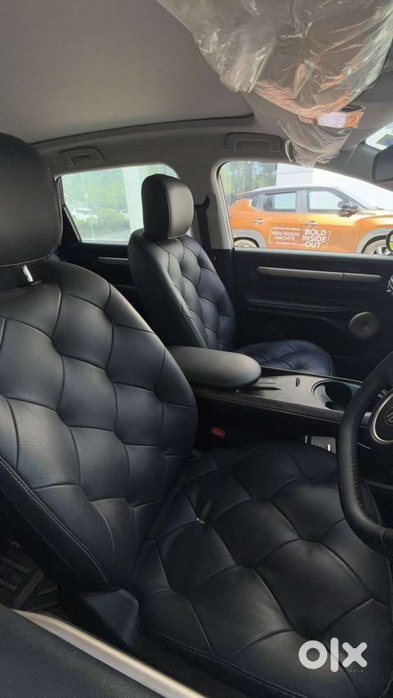 Mg Windsor Ev 2025