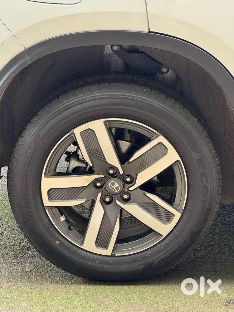 Tata Safari Adventure X Plus 7 Str, 2026, Diesel
