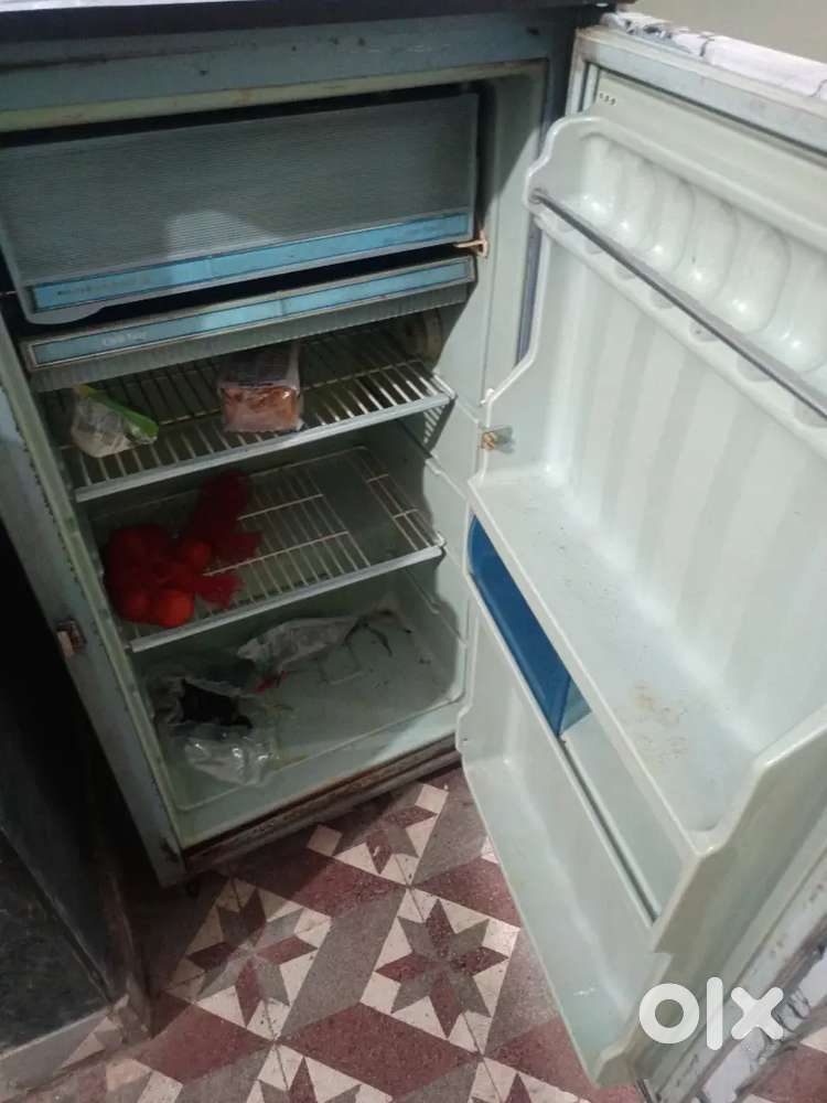 Fridge kalvinator