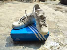 Adidas sale superstar olx