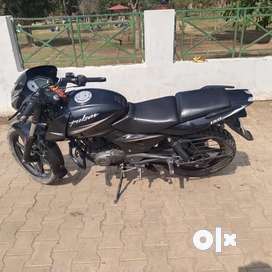 Pulsar 150 store second hand olx