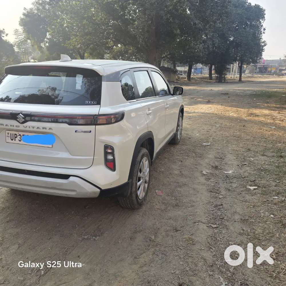 Maruti Suzuki Grand Vitara 2024