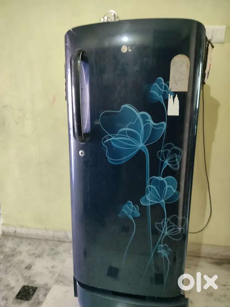 LG refrigerator single door