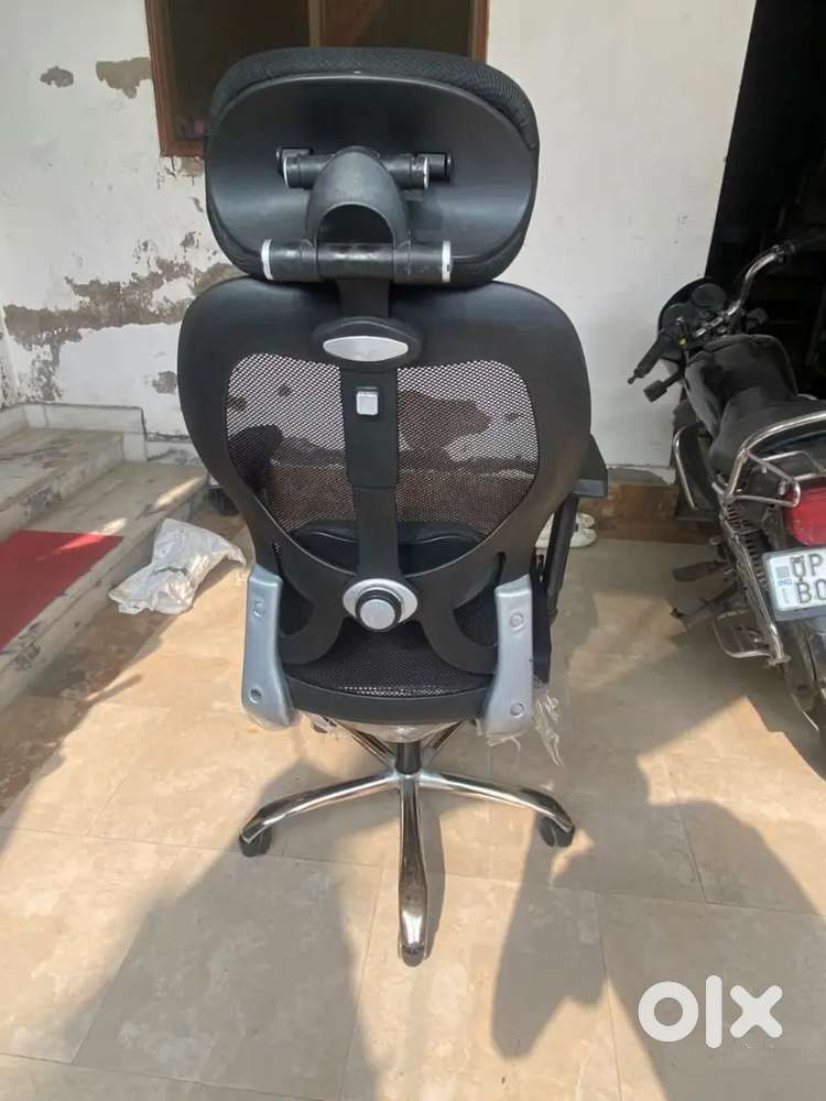 Study Chair