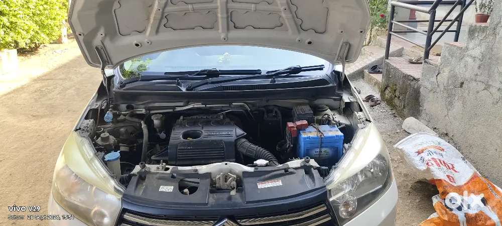Maruti Suzuki Celerio 2014 Car
