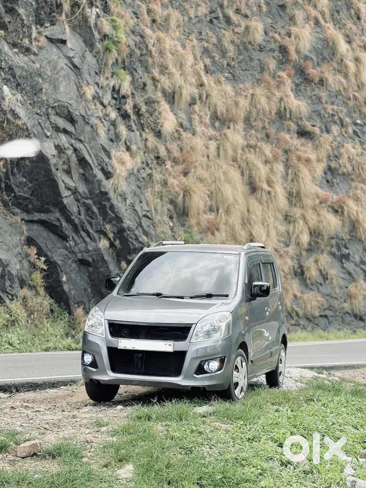 Maruti Suzuki Wagon R Flex Fuel 2017