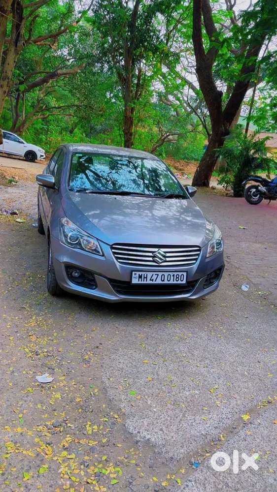 Maruti Suzuki Ciaz Zxi Plus For Rent On Wedding For Dulha And Outing