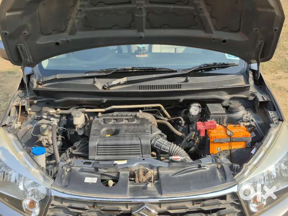 Celerio 2017 Cng Single Owner Class Condition For Sell