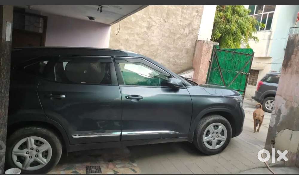 Kia Seltos 2020 Petrol Well Maintained