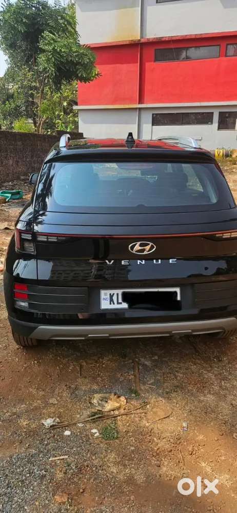 Hyundai Venue 2024 Petrol Well Maintained