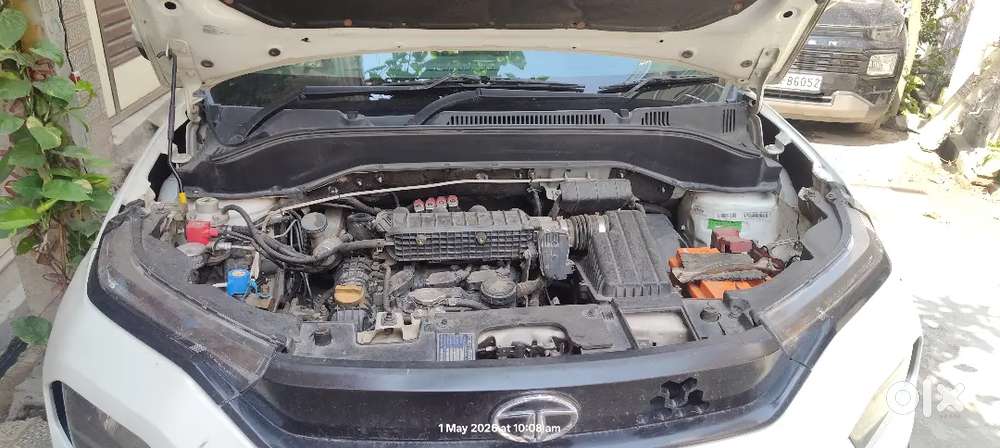 Sale My 82186 Punch Adventure 10833 Cng