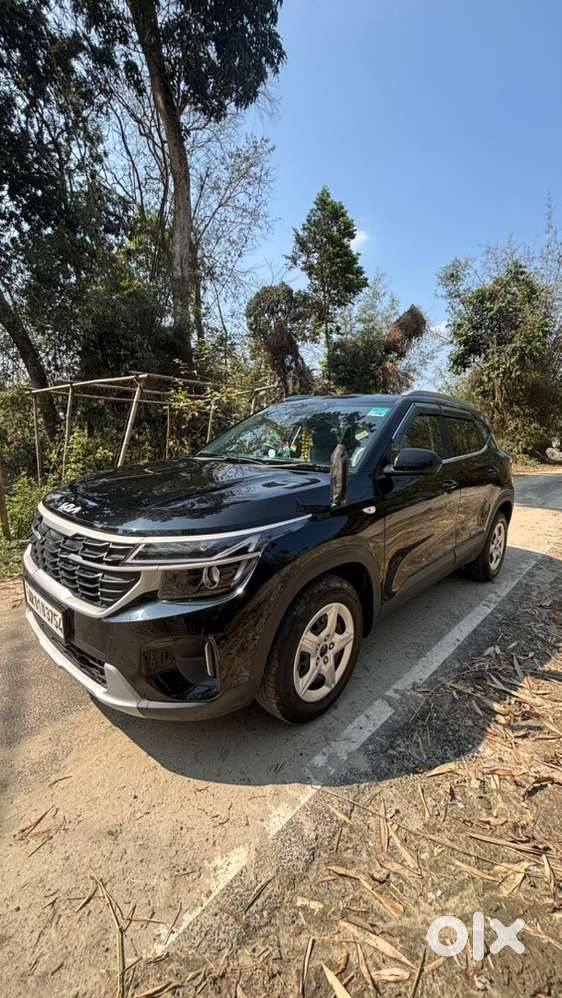 Kia Seltos Petrol 2025