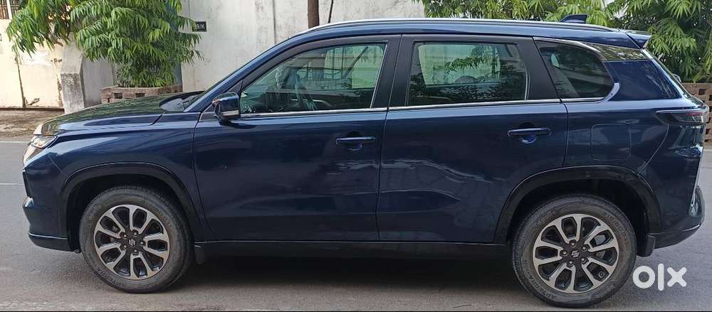 Electric+petrol