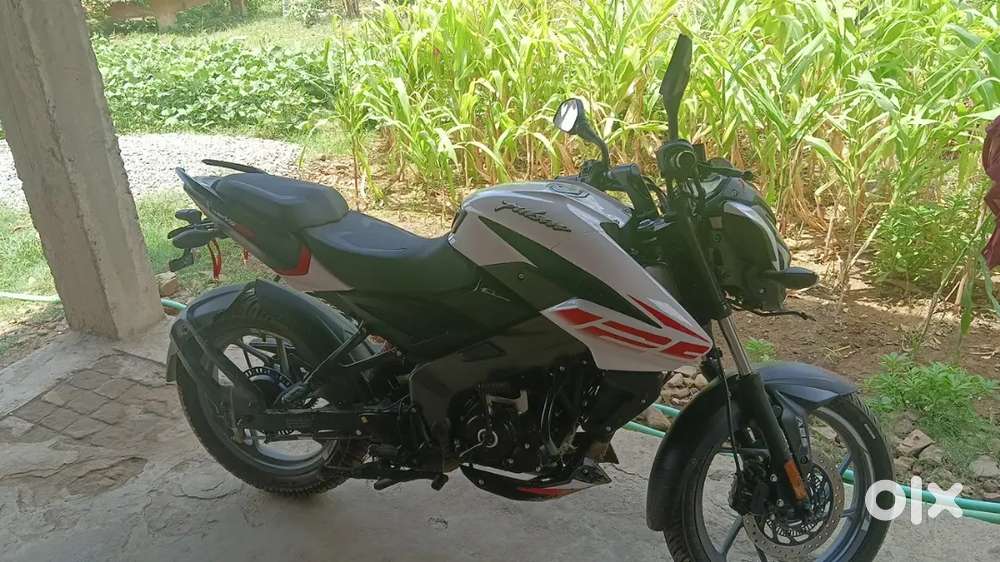 Bajaj Pulsar NS 125 - Motorcycles in undefined, - 1843135018