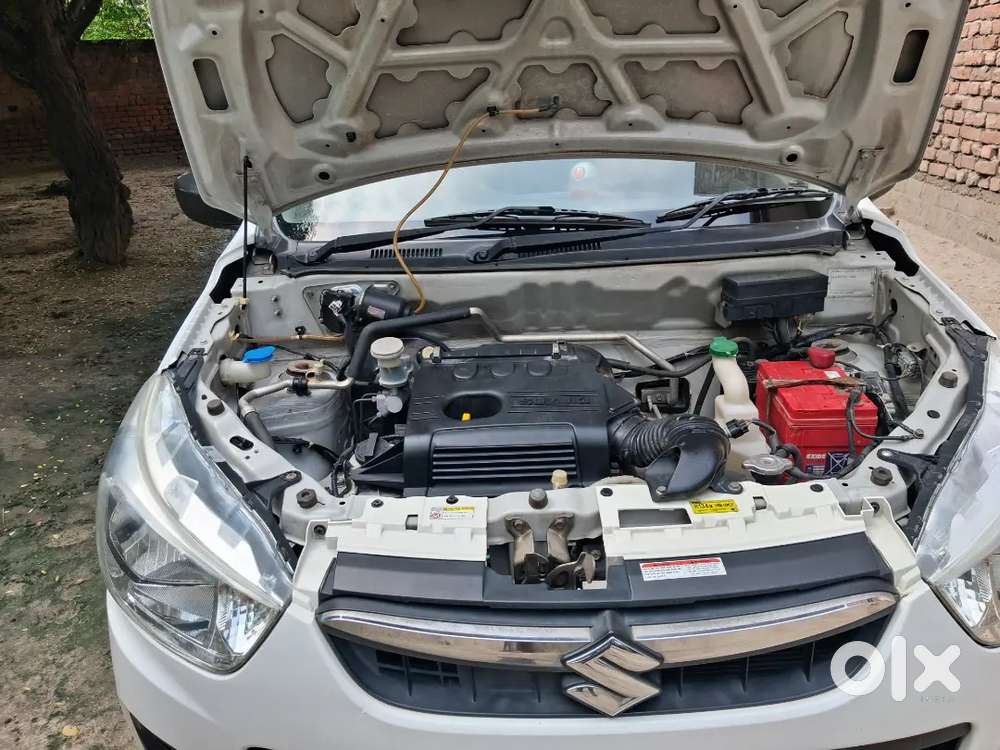 2015 Maruti Suzuki Alto
