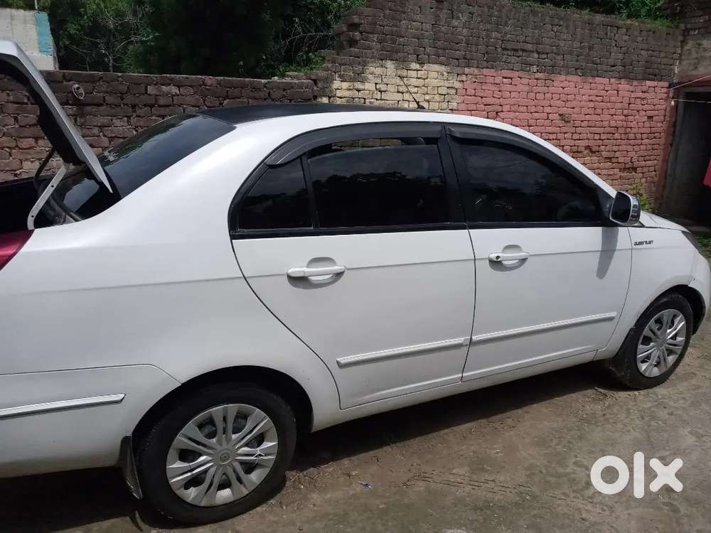 Argent Hai