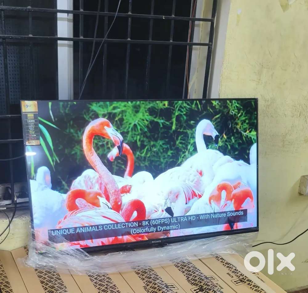 44 inch sony smart Android frameless oled price 12500