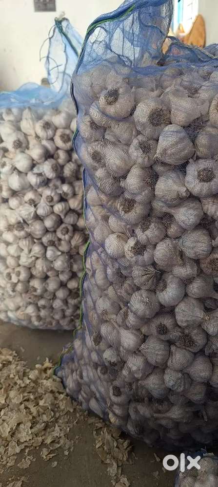 Garlic Primium Quality India NO. 1