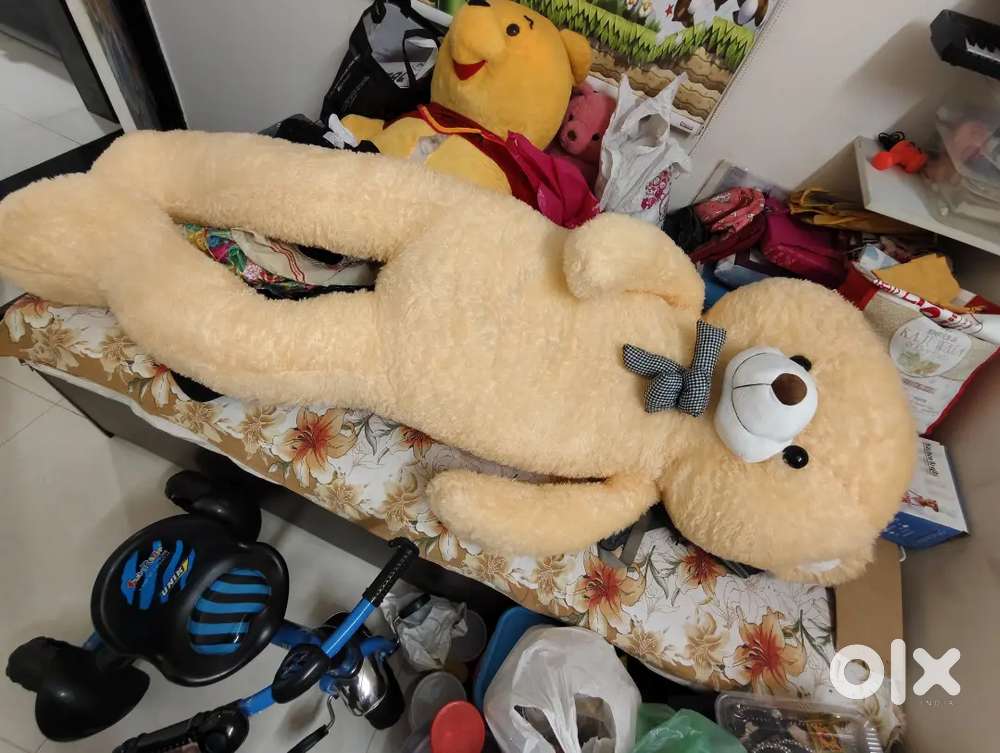Teddy bear