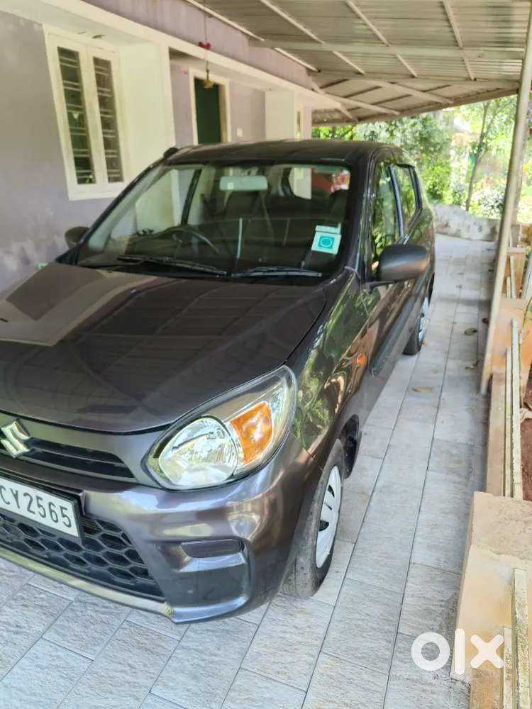 Alto 800 For Sale